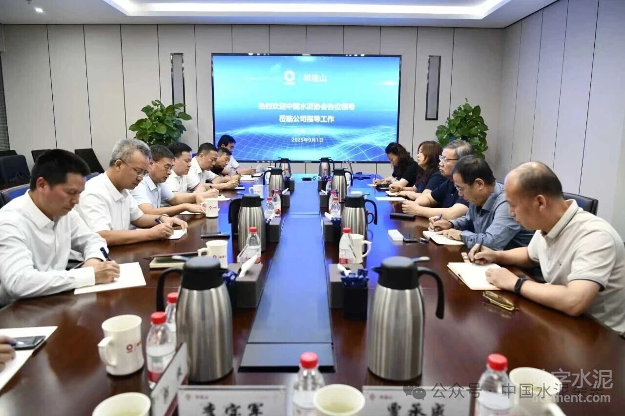 中國水泥協(xié)會執(zhí)行副會長王郁濤、劉繼彬一行赴甘肅考察調(diào)研